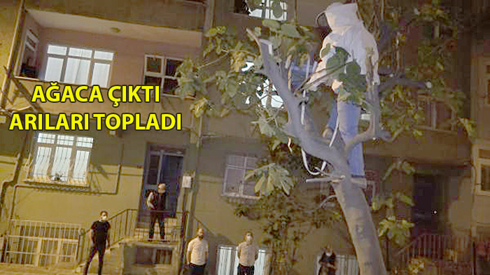 ARILARI POLİS KOVANA ALDI