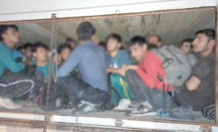 243 KAÇAK GÖÇMEN YAKALANDI