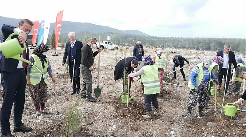 12 BİN 500 FİDAN TOPRAKLA BULUŞTU
