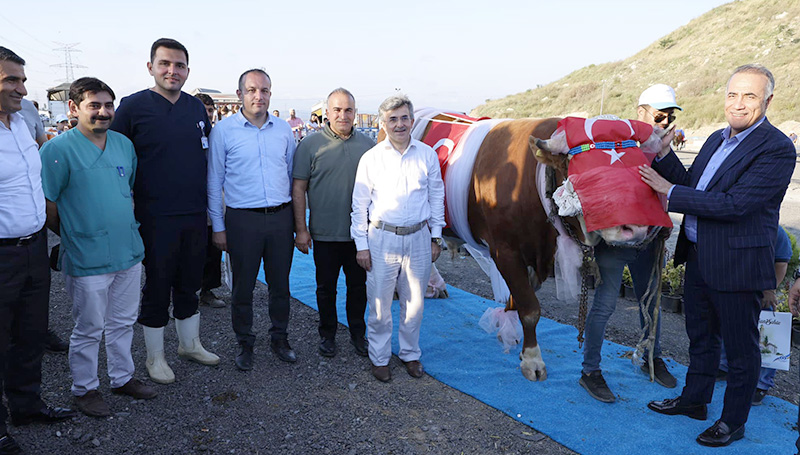 EN GÜZEL KURBANLIK YARIŞMASI