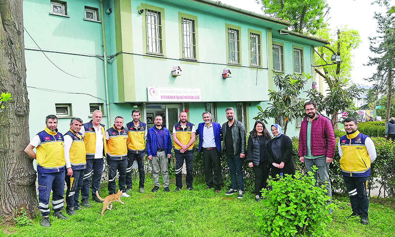 CANLA, BAŞLA ÇALIŞIYORLAR 