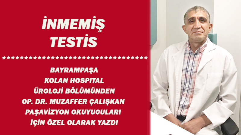 İNMEMİŞ TESTİS