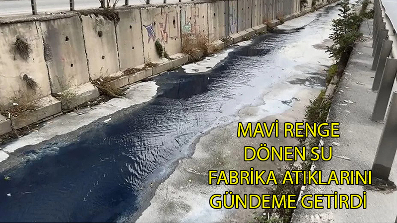 AYVALIDERE MAVİYE DÖNDÜ!