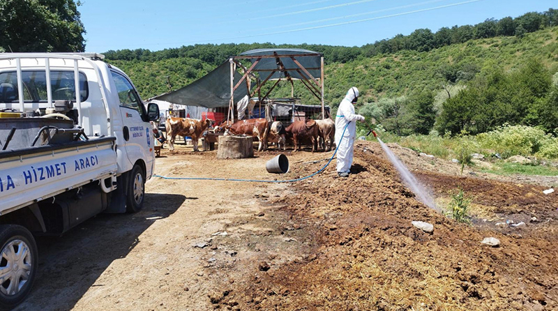KURBAN SATIŞ ALANLARI İLAÇLANIYOR