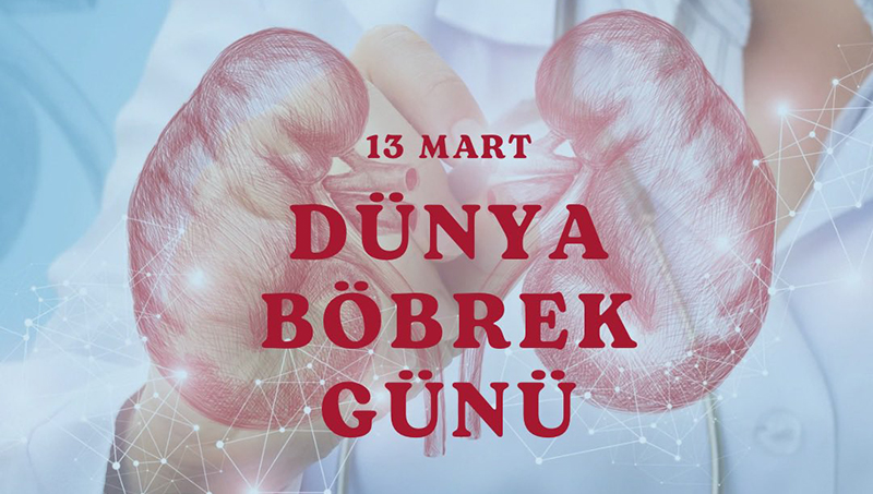 BÖBREKLERİNİZE İYİ BAKIN! 
