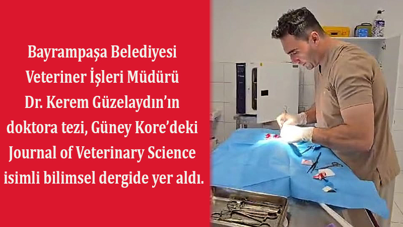 TEZ ÇALIŞMASI BİLİMSEL DERGİDE 