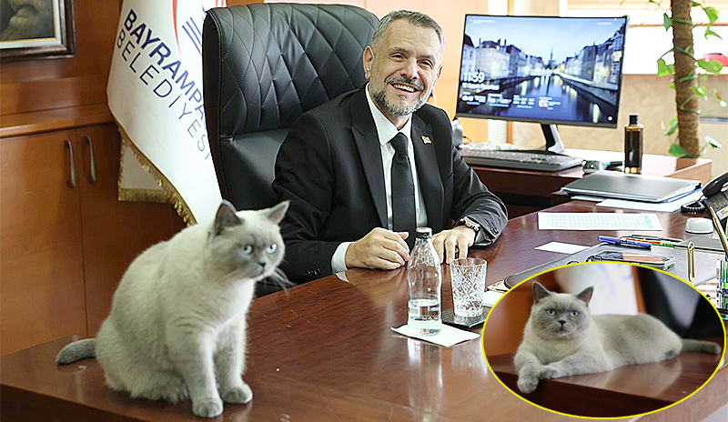BULUT GİTTİ DUMAN GELDİ